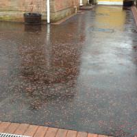 Another Driveway